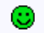 Example of the Guest Status Icon - green